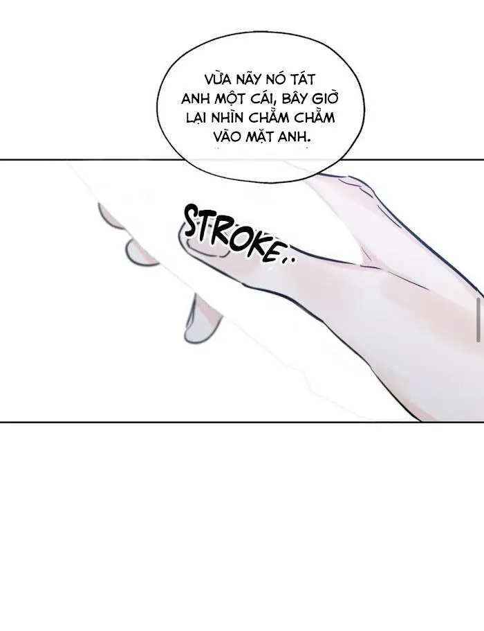 MAY MẮN NƠI THIÊN ĐƯỜNG Chapter 39 Trang 12