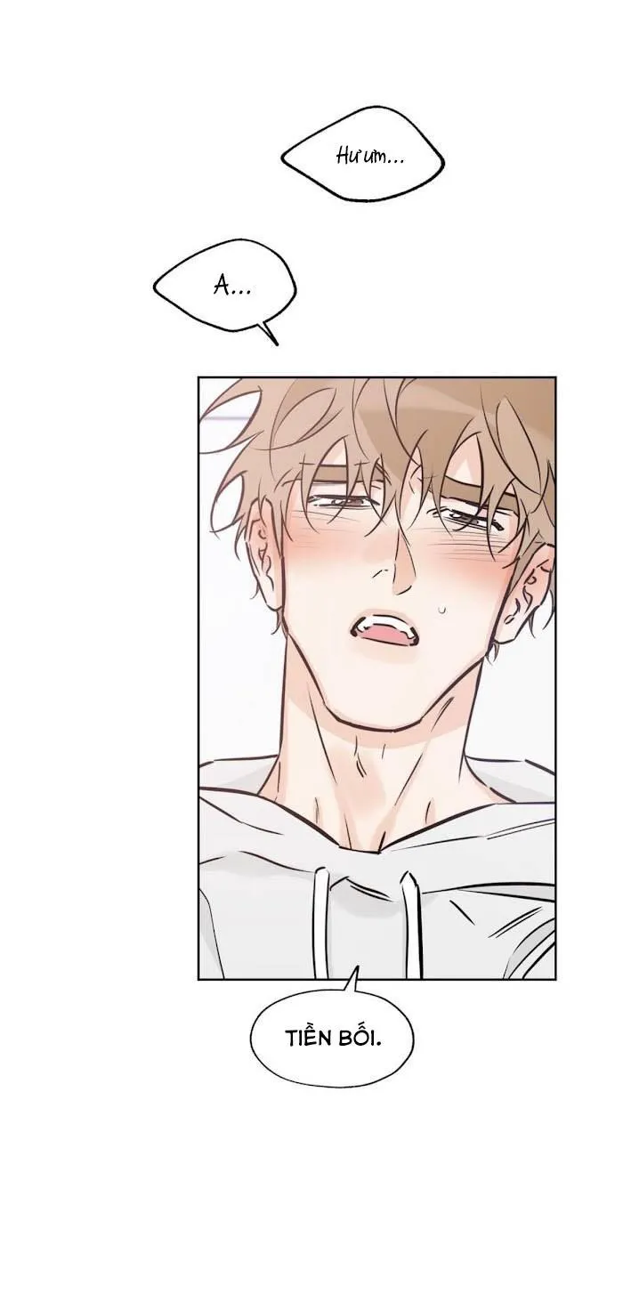 MAY MẮN NƠI THIÊN ĐƯỜNG Chapter 39 Trang 18