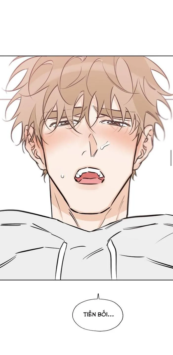 MAY MẮN NƠI THIÊN ĐƯỜNG Chapter 39 Trang 22