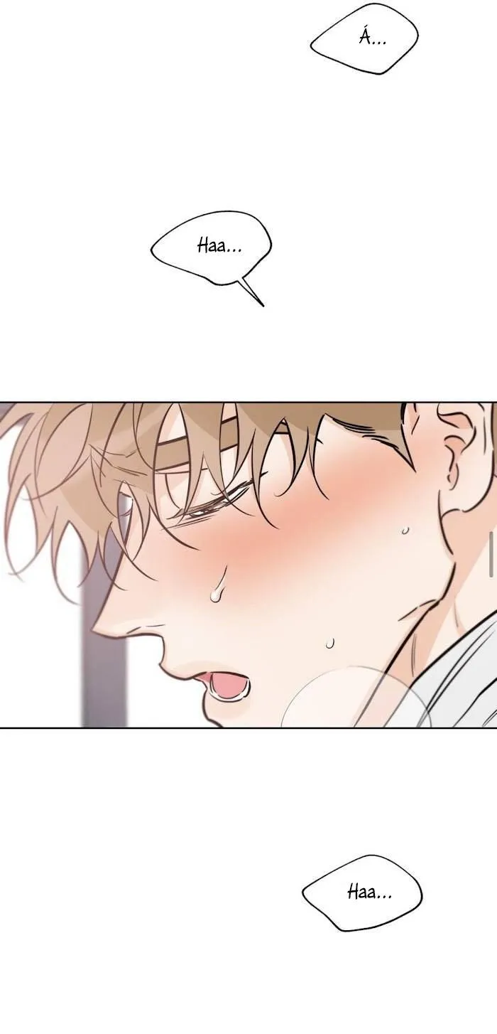 MAY MẮN NƠI THIÊN ĐƯỜNG Chapter 39 Trang 27