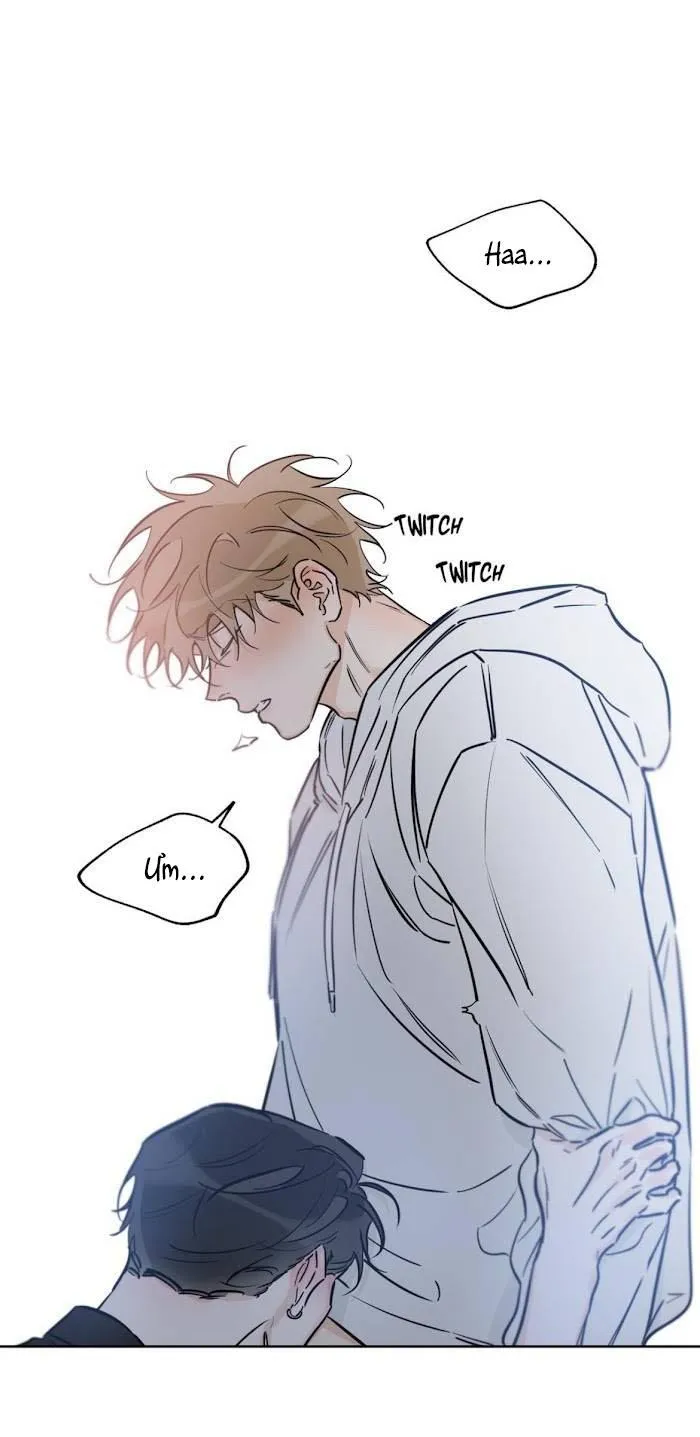 MAY MẮN NƠI THIÊN ĐƯỜNG Chapter 39 Trang 37