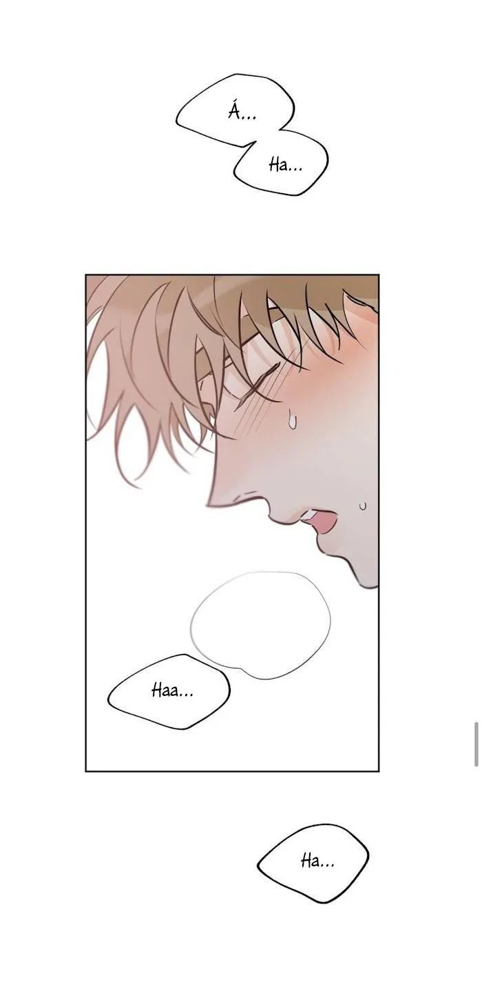 MAY MẮN NƠI THIÊN ĐƯỜNG Chapter 39 Trang 45