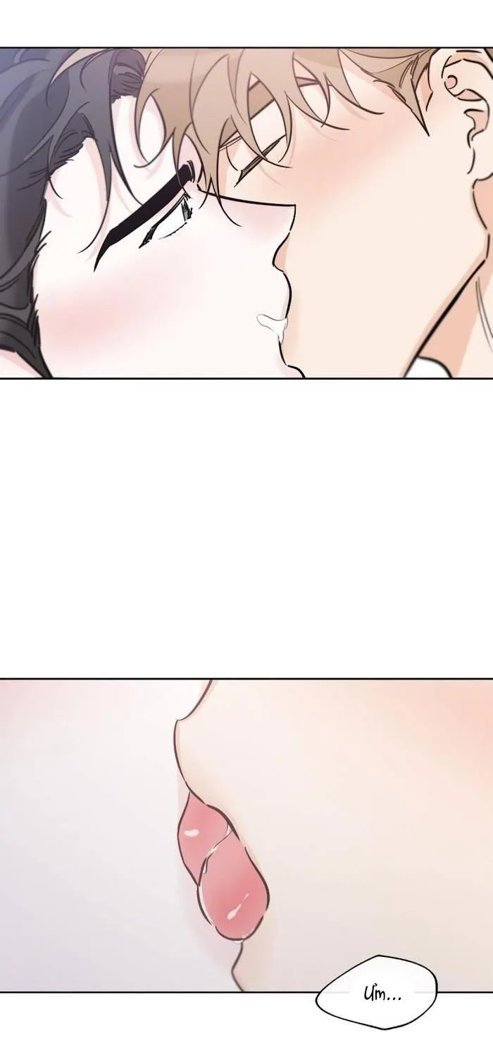 MAY MẮN NƠI THIÊN ĐƯỜNG Chapter 39 Trang 54