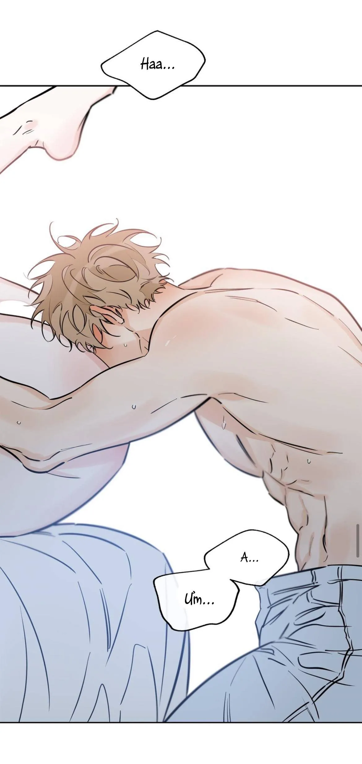 MAY MẮN NƠI THIÊN ĐƯỜNG Chapter 40 Trang 43