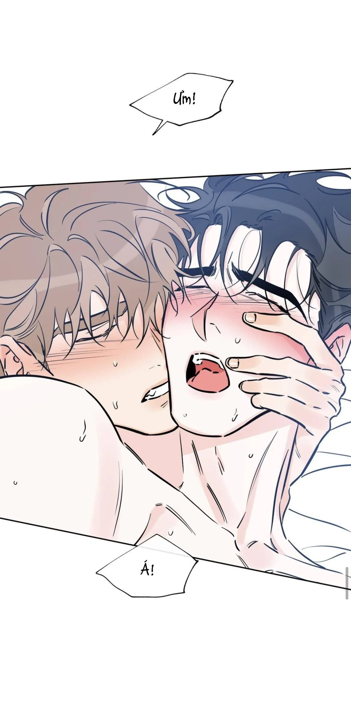 MAY MẮN NƠI THIÊN ĐƯỜNG Chapter 41 Trang 50