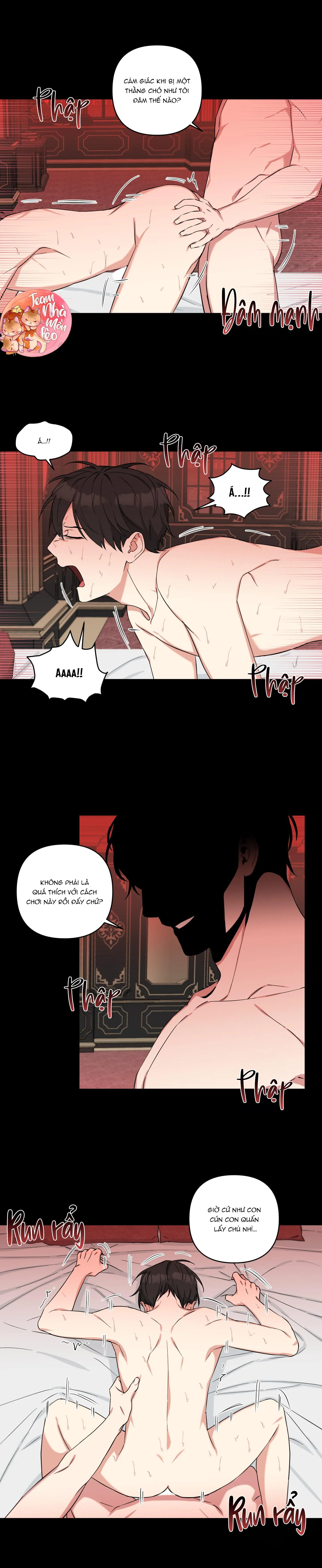 MAY RỦI CỦA VAMPIRE Chapter 13 Trang 5