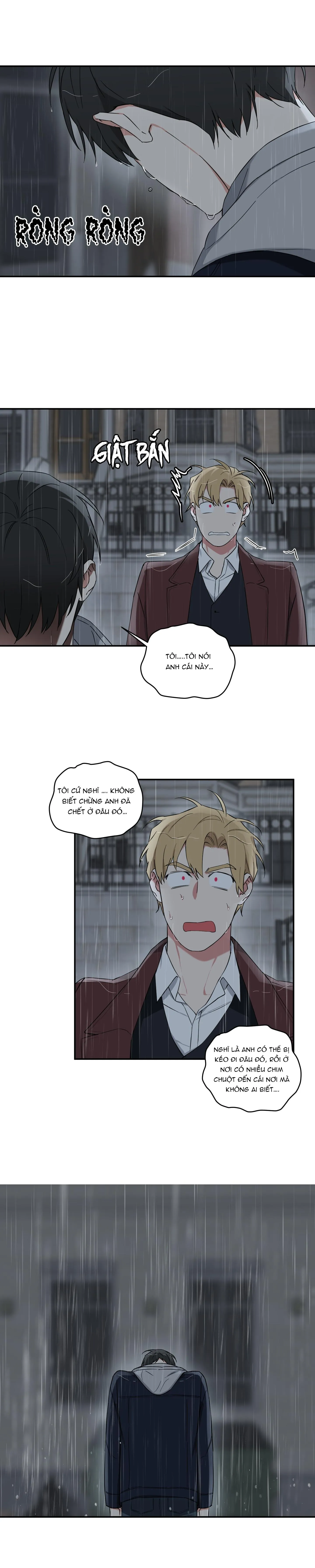 MAY RỦI CỦA VAMPIRE Chapter 14 Trang 12