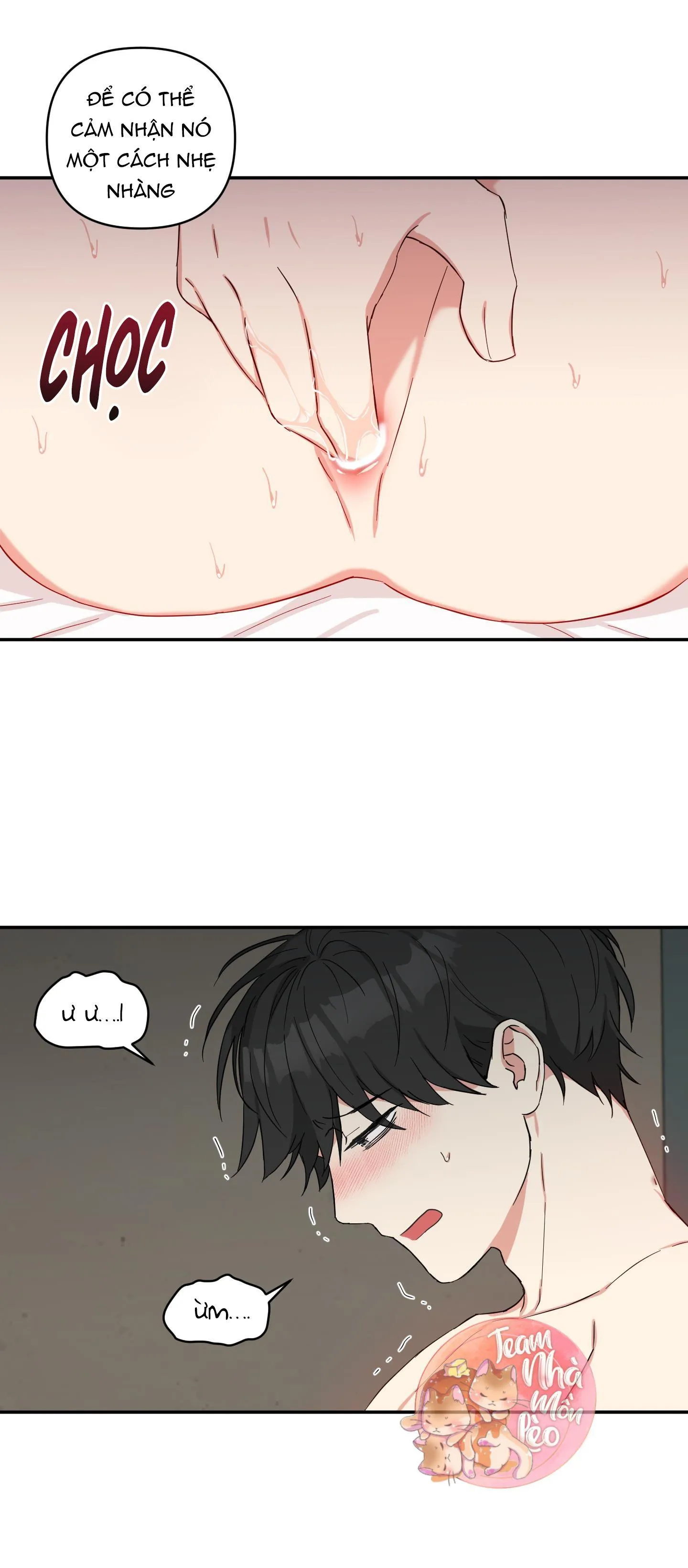 MAY RỦI CỦA VAMPIRE Chapter 25 Trang 5