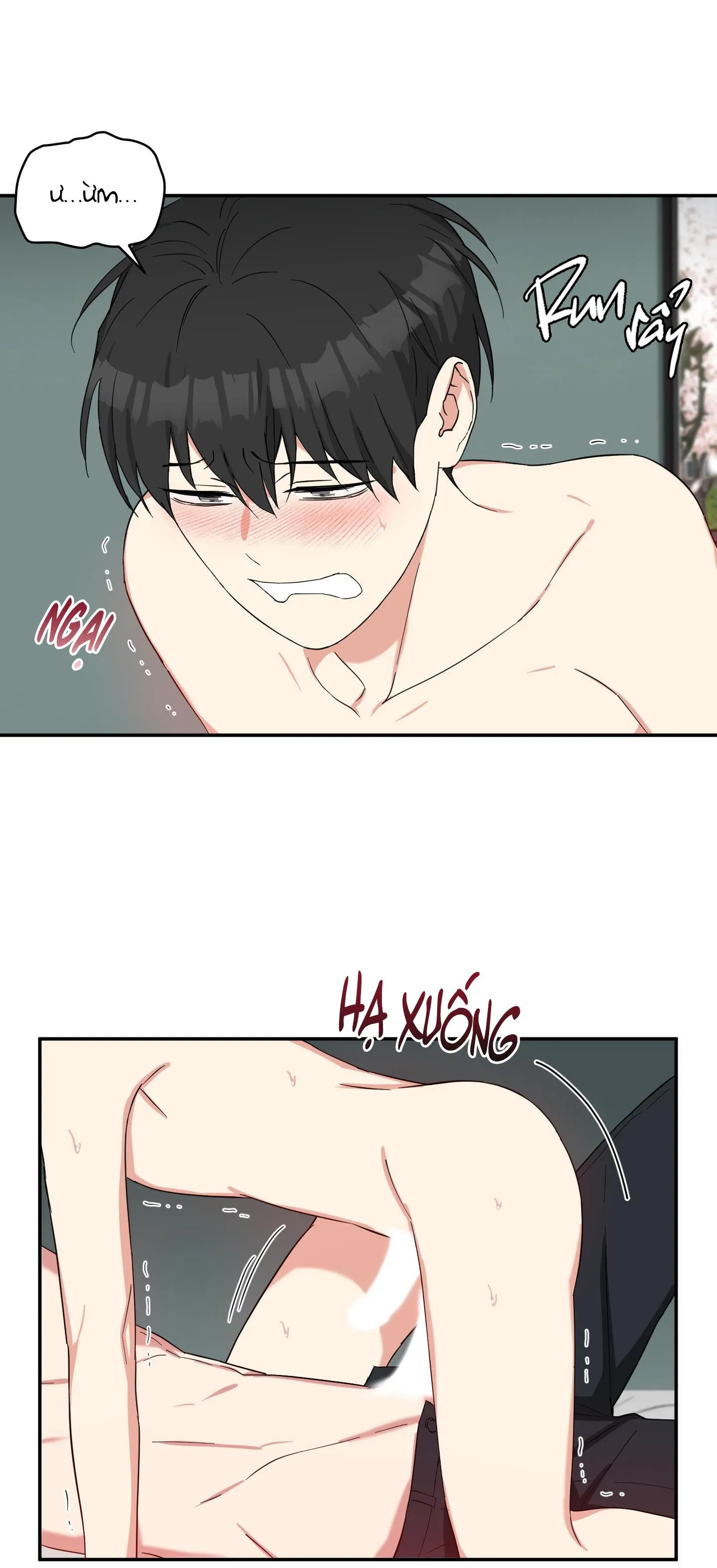 MAY RỦI CỦA VAMPIRE Chapter 26 Trang 11