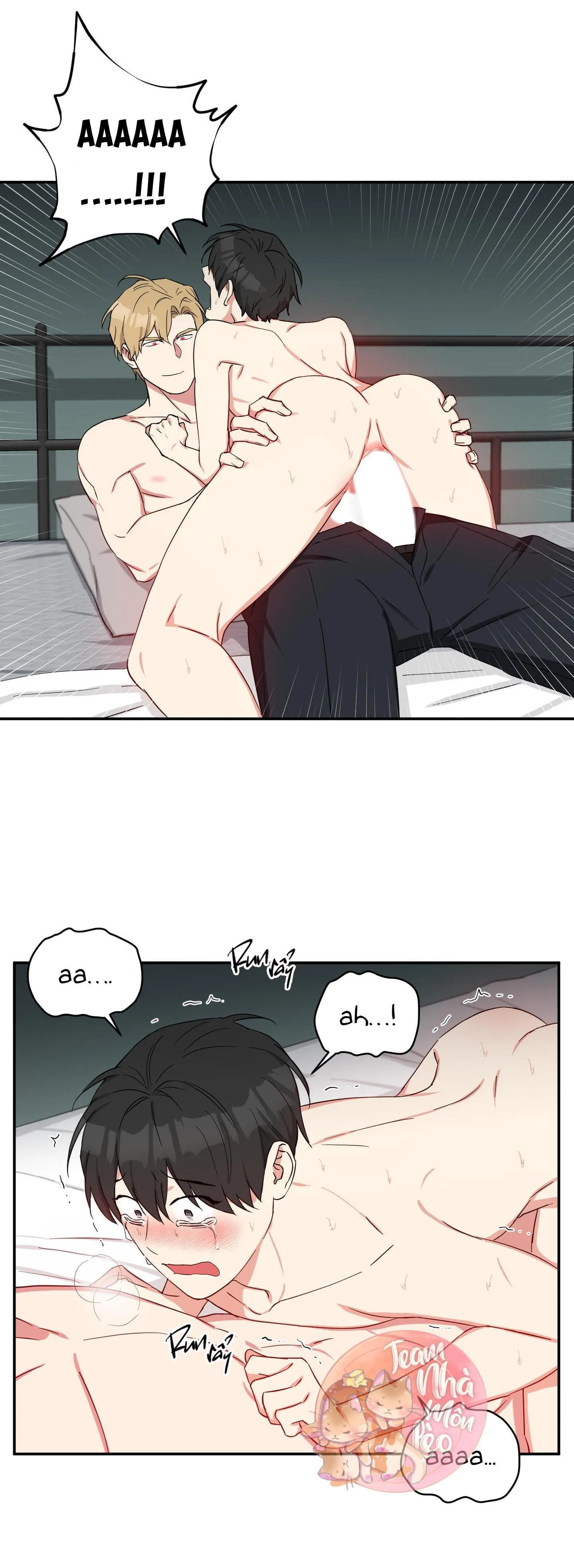 MAY RỦI CỦA VAMPIRE Chapter 26 Trang 16