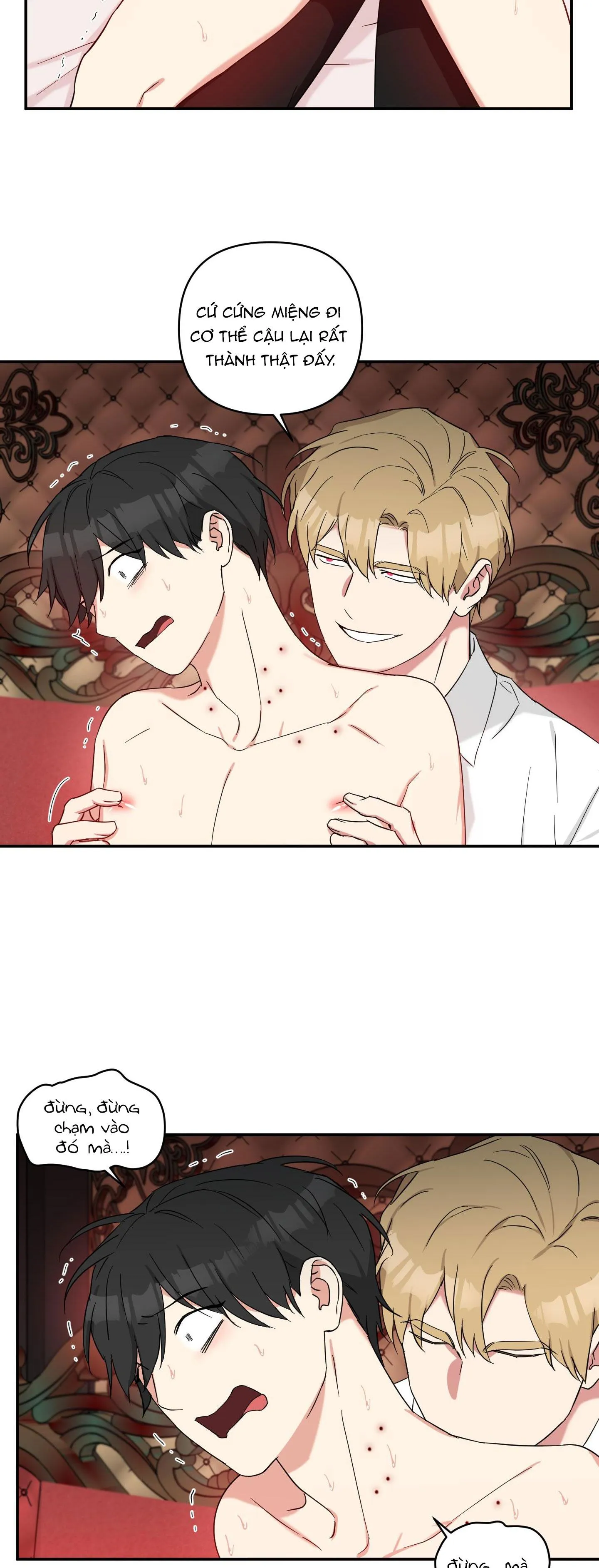 MAY RỦI CỦA VAMPIRE Chapter 31 Trang 6