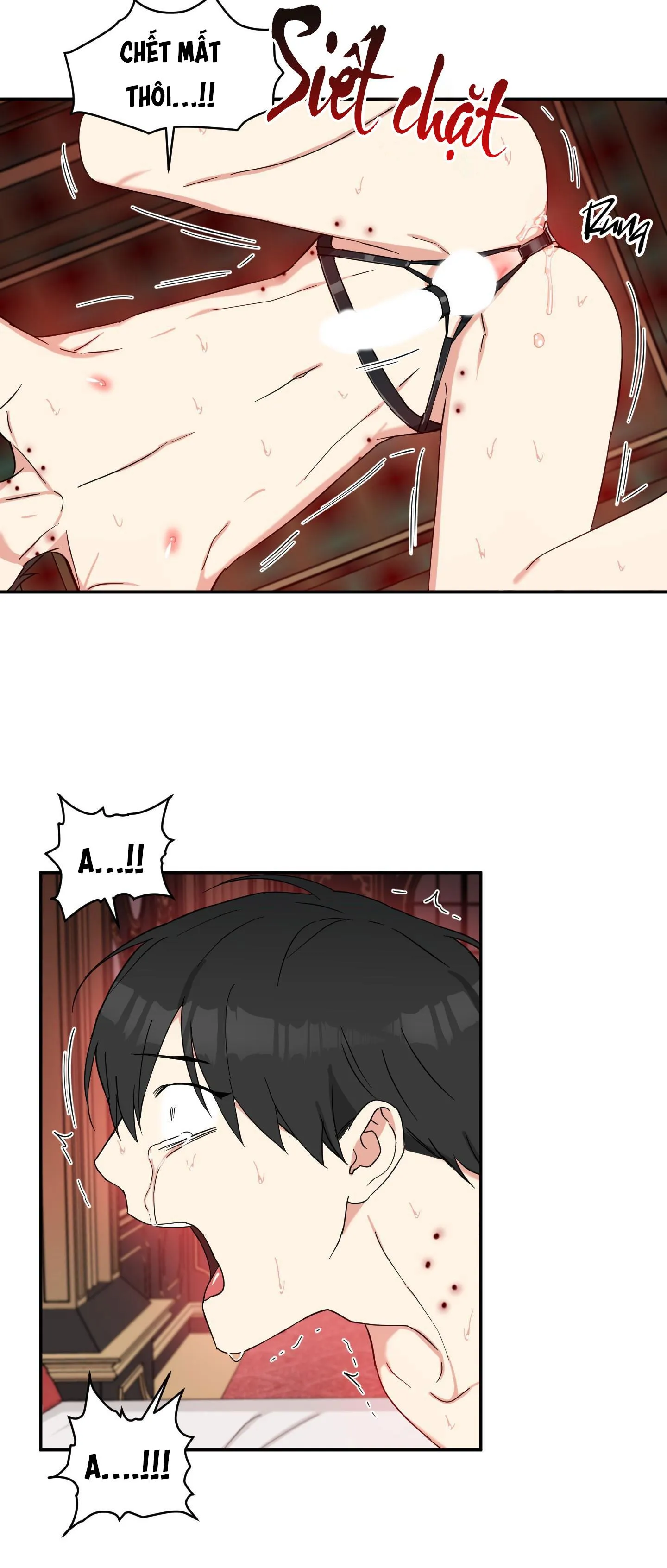 MAY RỦI CỦA VAMPIRE Chapter 32 Trang 8