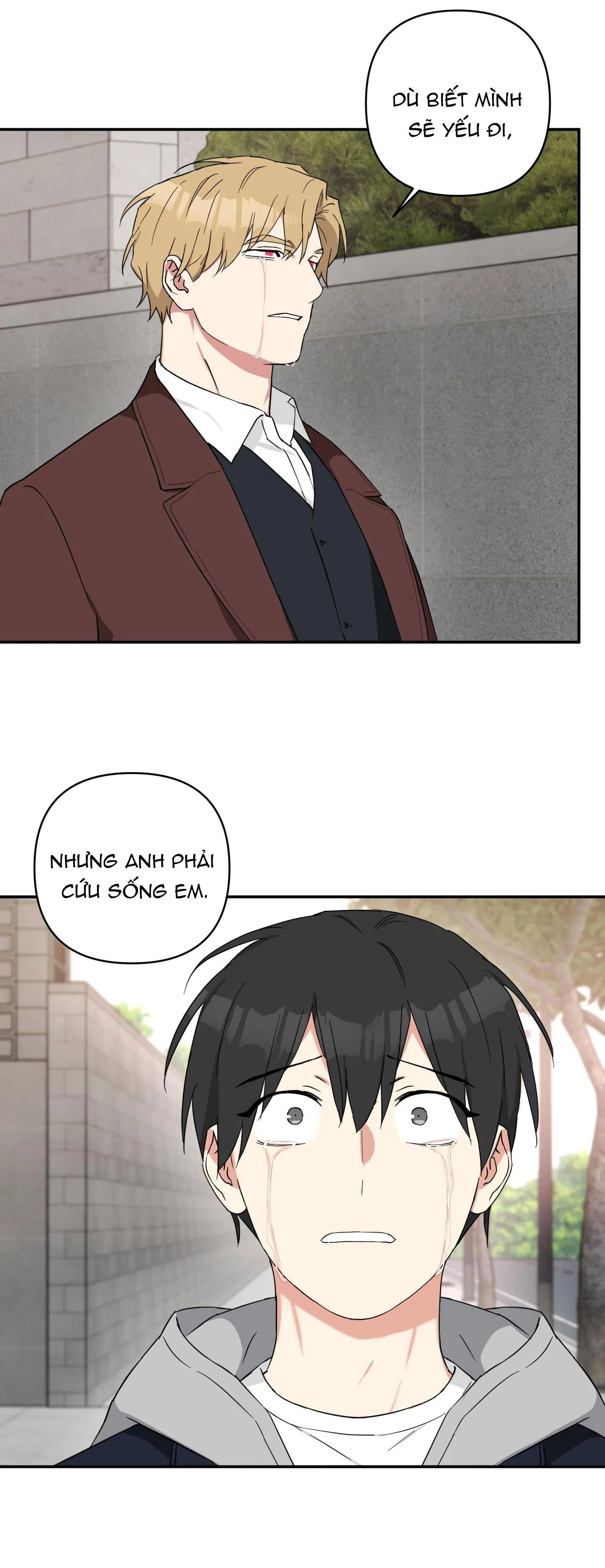 MAY RỦI CỦA VAMPIRE Chapter 38 Trang 24