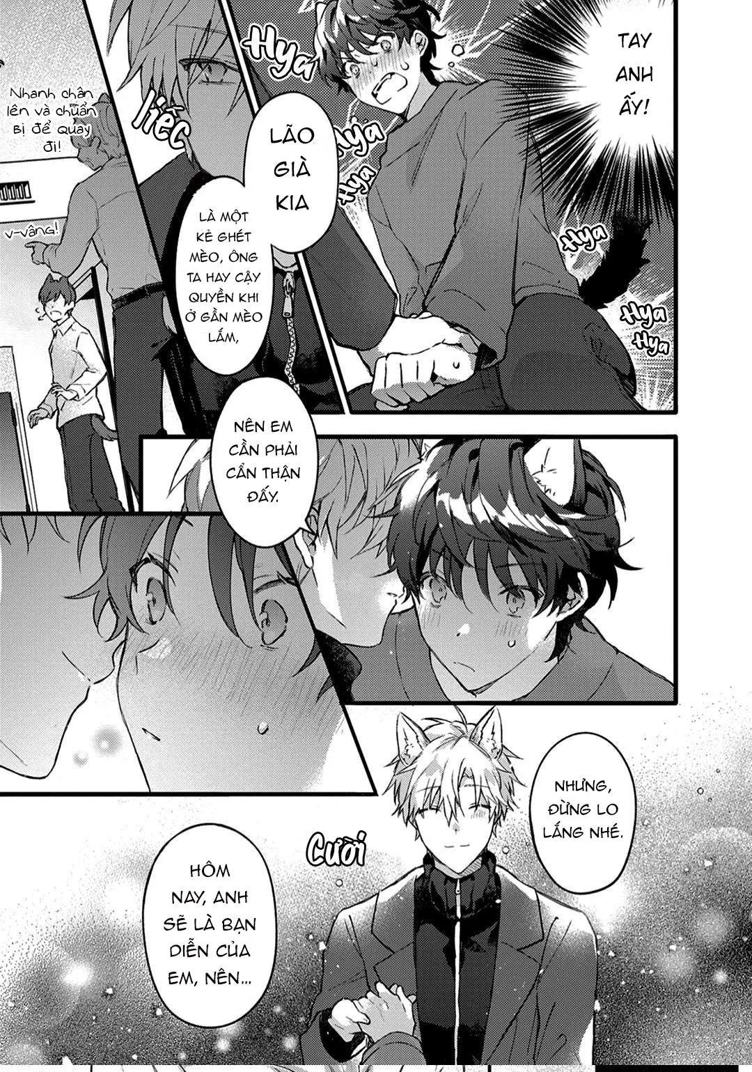 Mèo Đen Và Chàng Sói Chapter 1 Trang 11