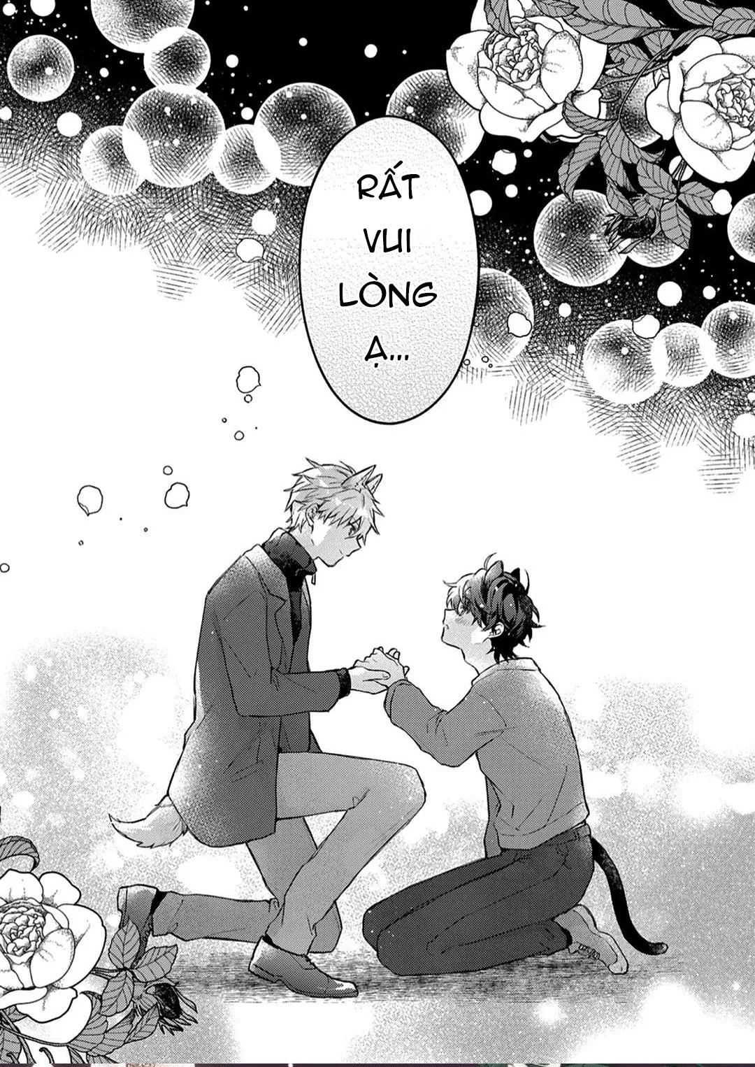 Mèo Đen Và Chàng Sói Chapter 1 Trang 14