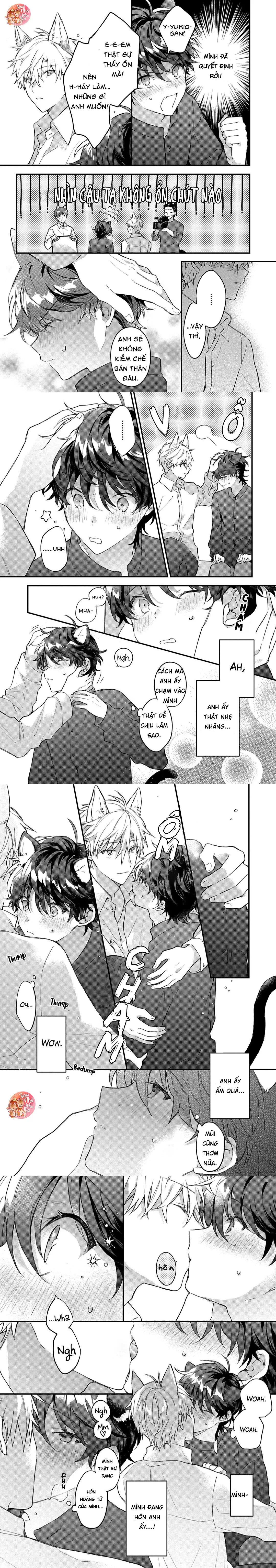 Mèo Đen Và Chàng Sói Chapter 2 Trang 4