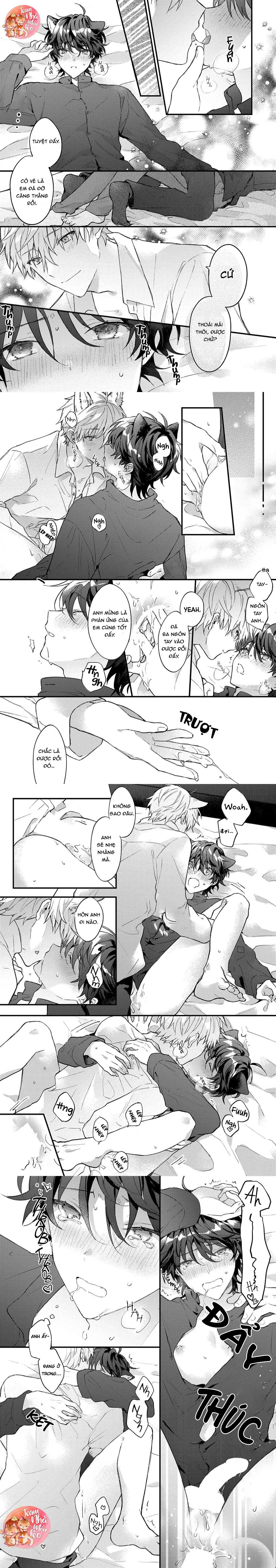 Mèo Đen Và Chàng Sói Chapter 2 Trang 5