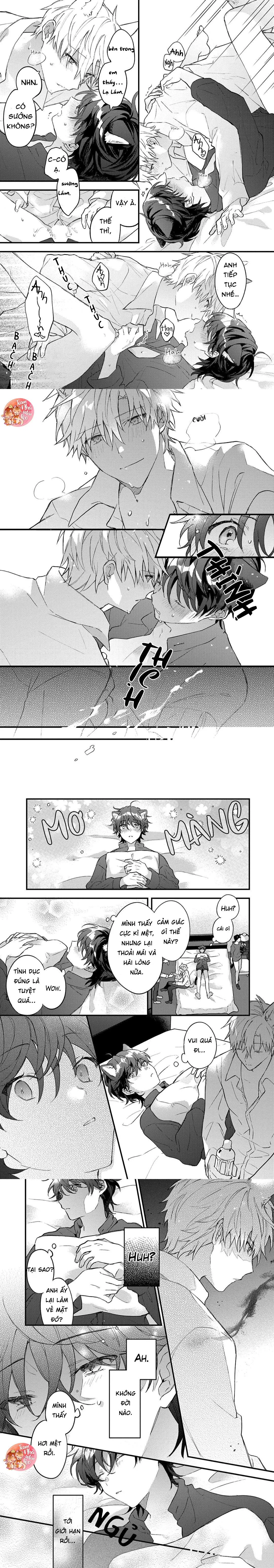 Mèo Đen Và Chàng Sói Chapter 2 Trang 6