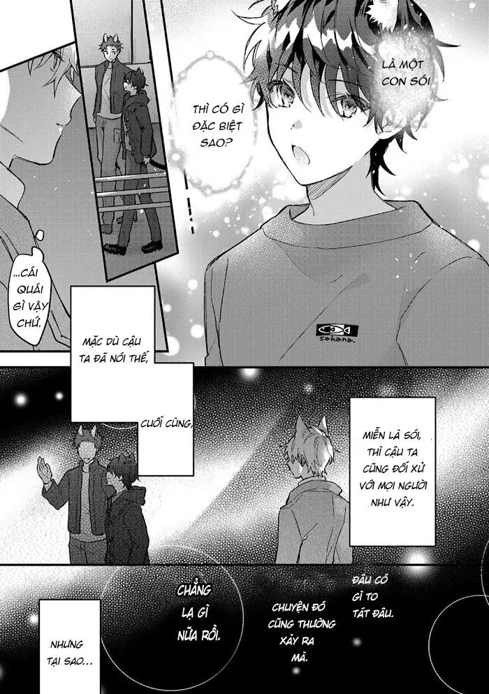 Mèo Đen Và Chàng Sói Chapter 4 Trang 12