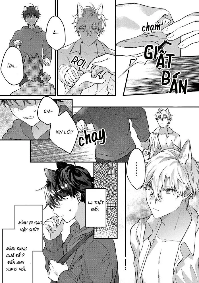 Mèo Đen Và Chàng Sói Chapter 4 Trang 20