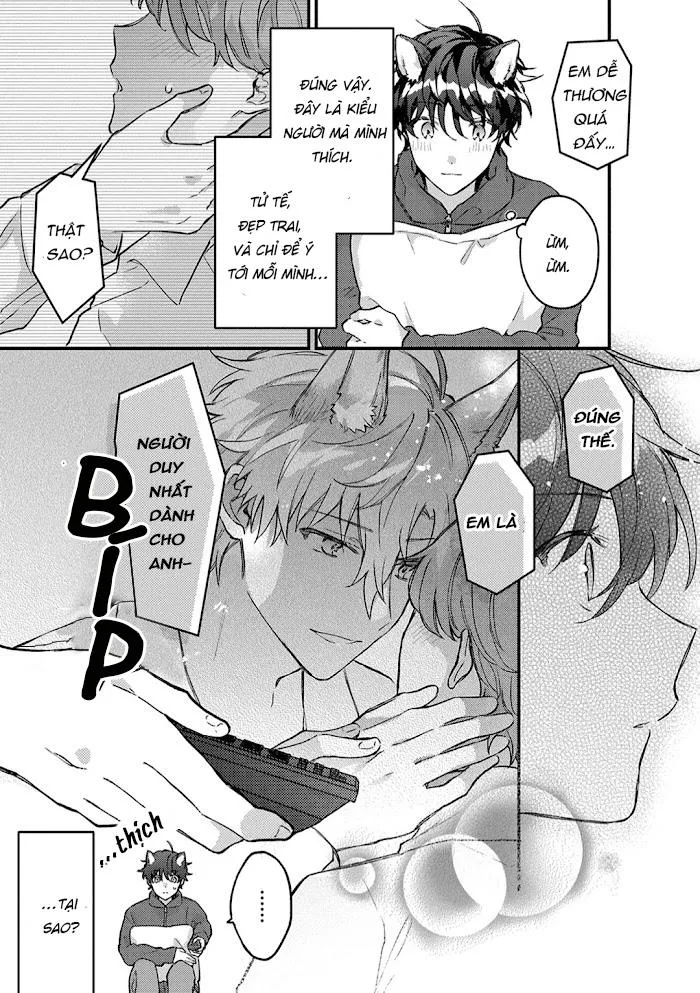 Mèo Đen Và Chàng Sói Chapter 4 Trang 22