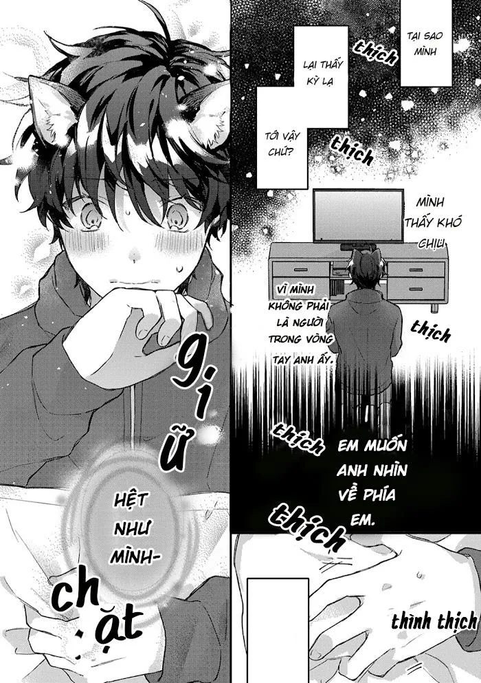 Mèo Đen Và Chàng Sói Chapter 4 Trang 23