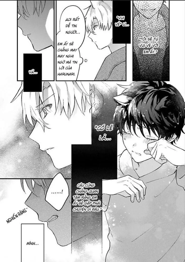 Mèo Đen Và Chàng Sói Chapter 5 Trang 10