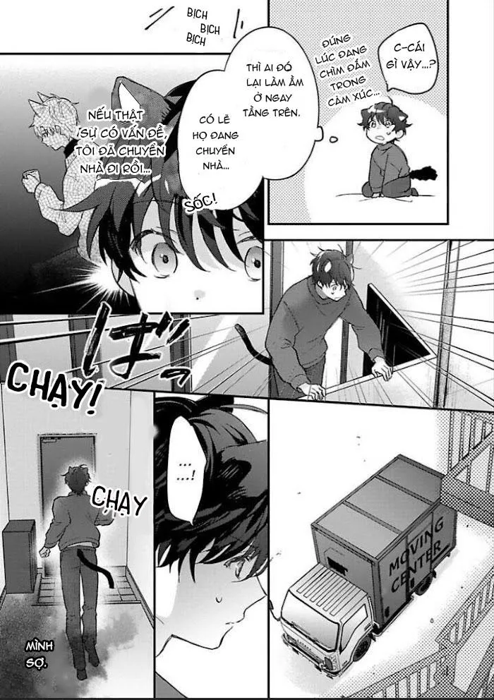 Mèo Đen Và Chàng Sói Chapter 5 Trang 15