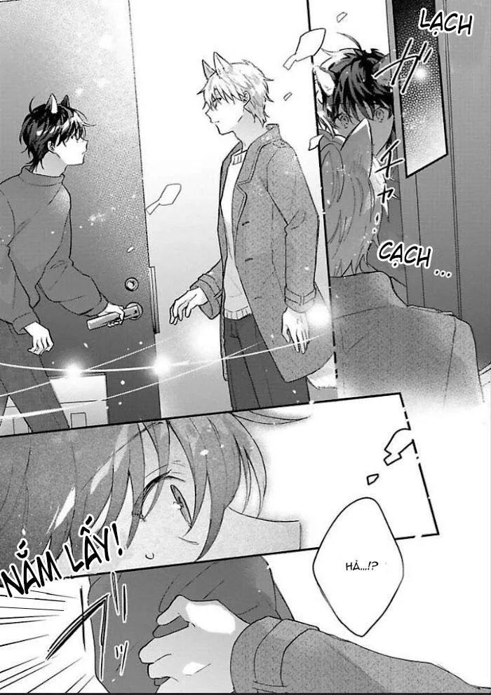 Mèo Đen Và Chàng Sói Chapter 5 Trang 17