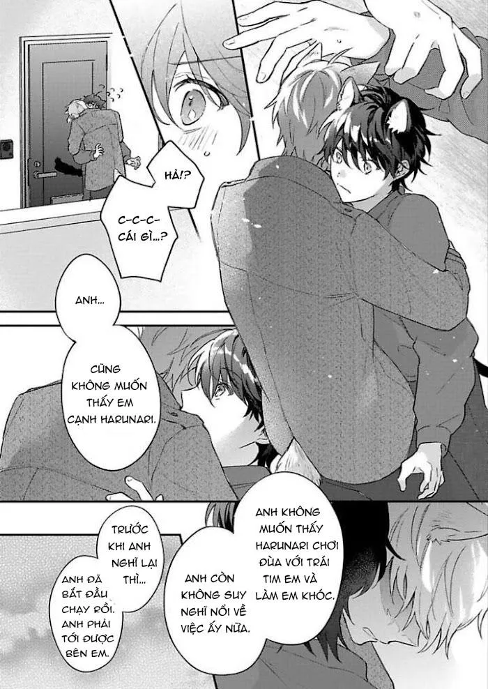 Mèo Đen Và Chàng Sói Chapter 5 Trang 22