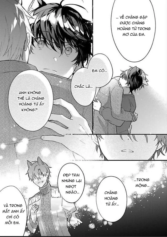 Mèo Đen Và Chàng Sói Chapter 5 Trang 23