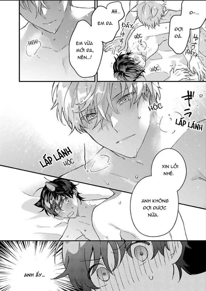 Mèo Đen Và Chàng Sói Chapter 5 Trang 30