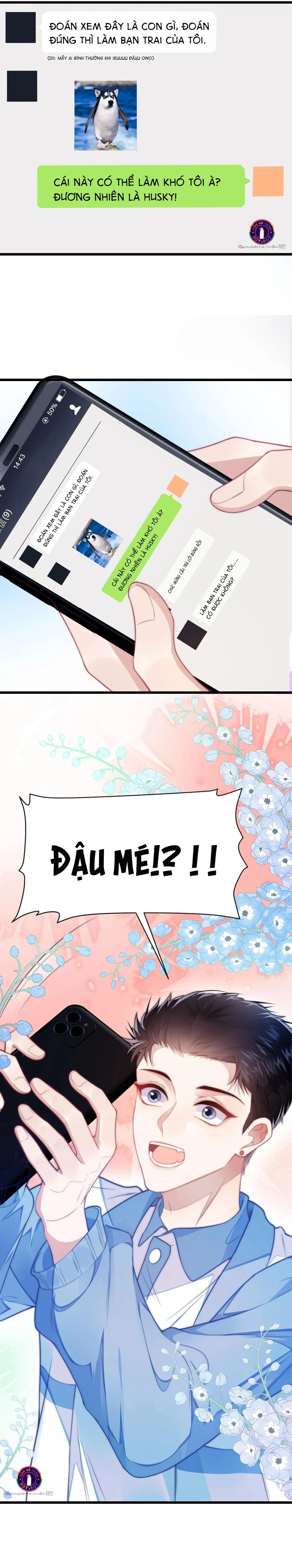 Mèo Hoang Nhỏ Của Học Bá Quá Trêu Người (END) Chapter 4 Trang 13