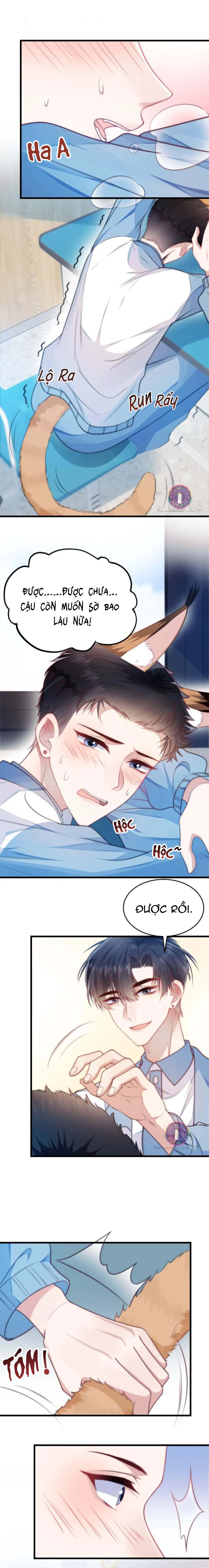 Mèo Hoang Nhỏ Của Học Bá Quá Trêu Người (END) Chapter 6 Trang 9