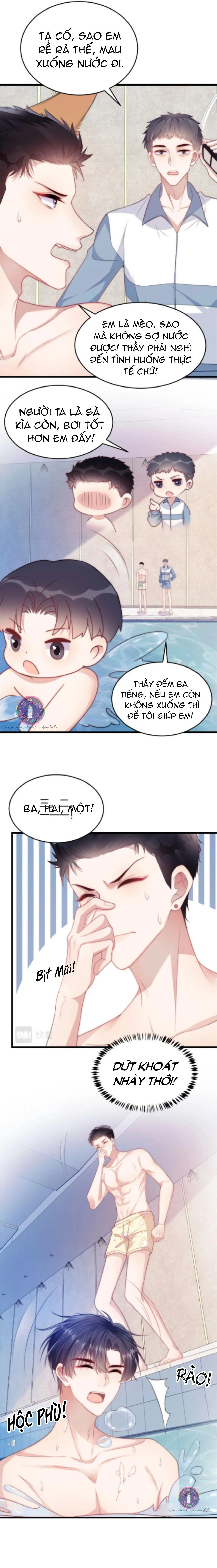 Mèo Hoang Nhỏ Của Học Bá Quá Trêu Người (END) Chapter 7 Trang 4