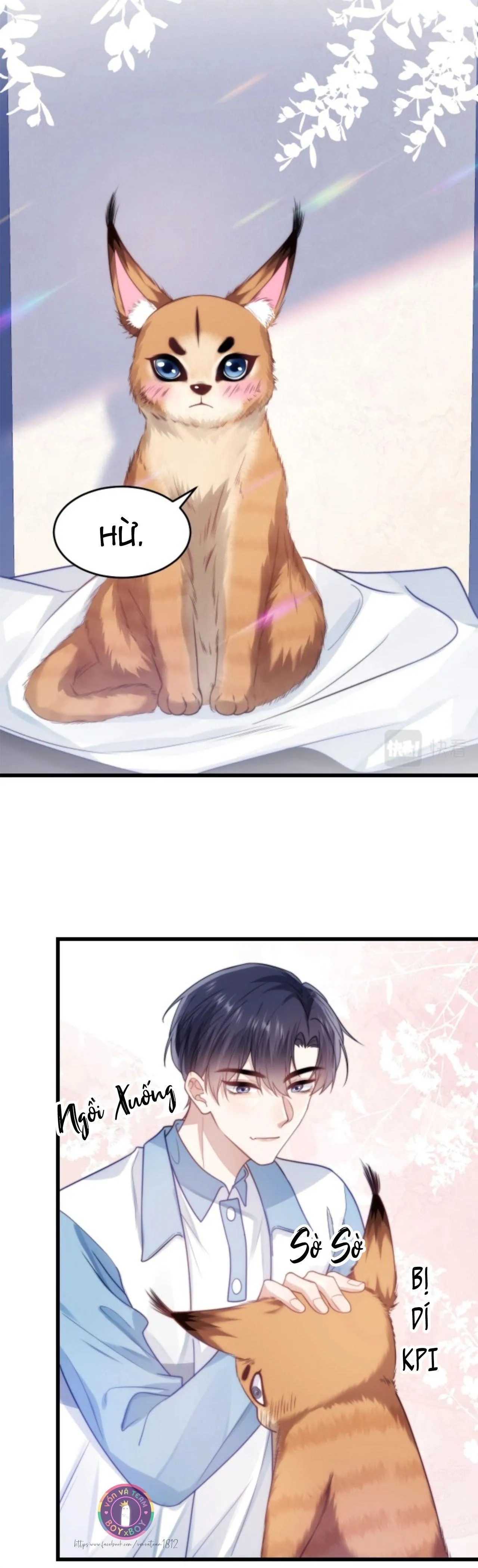 Mèo Hoang Nhỏ Của Học Bá Quá Trêu Người (END) Chapter 9 Trang 4