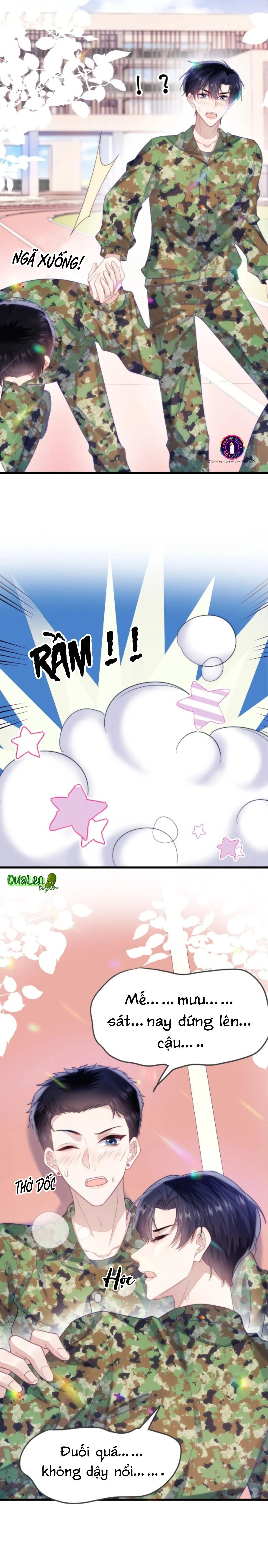 Mèo Hoang Nhỏ Của Học Bá Quá Trêu Người (END) Chapter 11 Trang 12