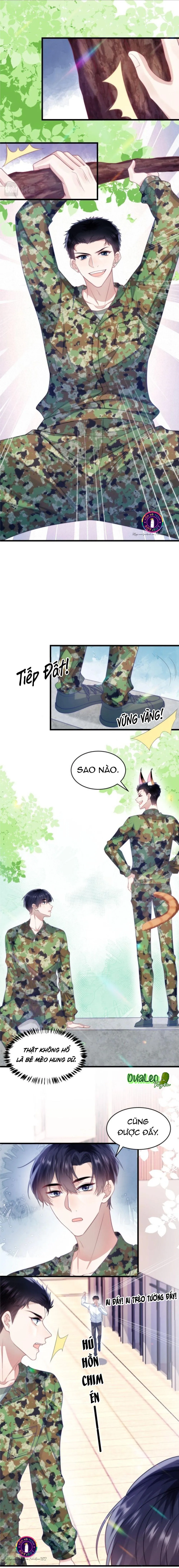 Mèo Hoang Nhỏ Của Học Bá Quá Trêu Người (END) Chapter 12 Trang 4