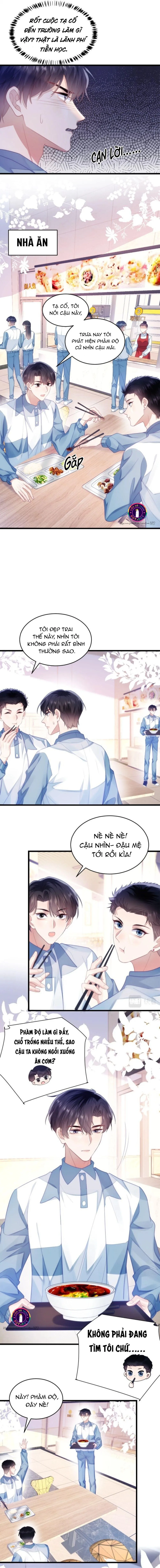 Mèo Hoang Nhỏ Của Học Bá Quá Trêu Người (END) Chapter 13 Trang 5