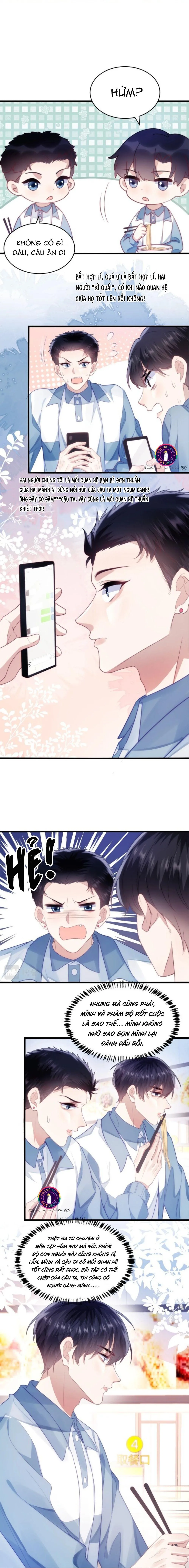 Mèo Hoang Nhỏ Của Học Bá Quá Trêu Người (END) Chapter 13 Trang 7