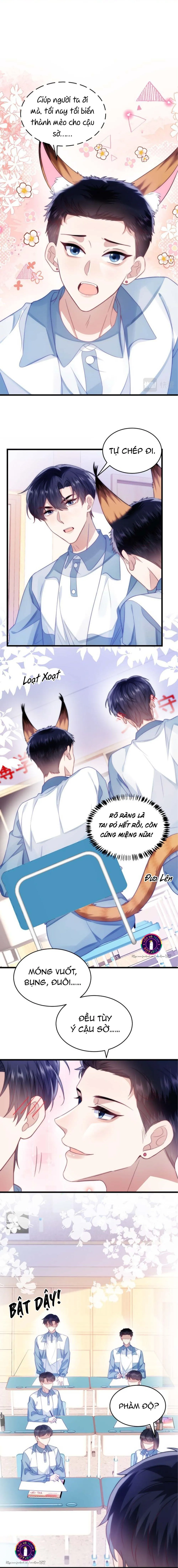 Mèo Hoang Nhỏ Của Học Bá Quá Trêu Người (END) Chapter 14 Trang 3