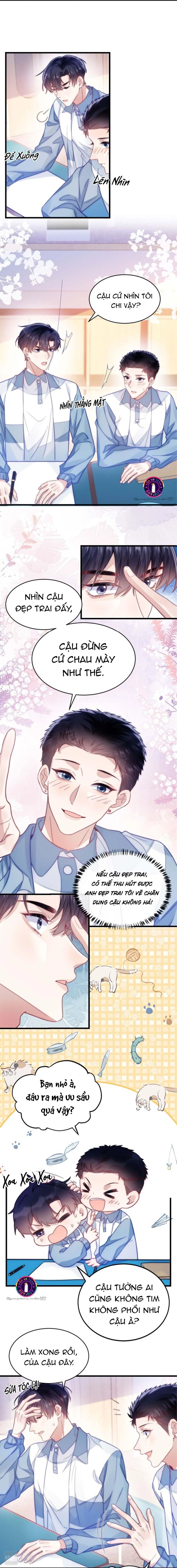 Mèo Hoang Nhỏ Của Học Bá Quá Trêu Người (END) Chapter 14 Trang 8