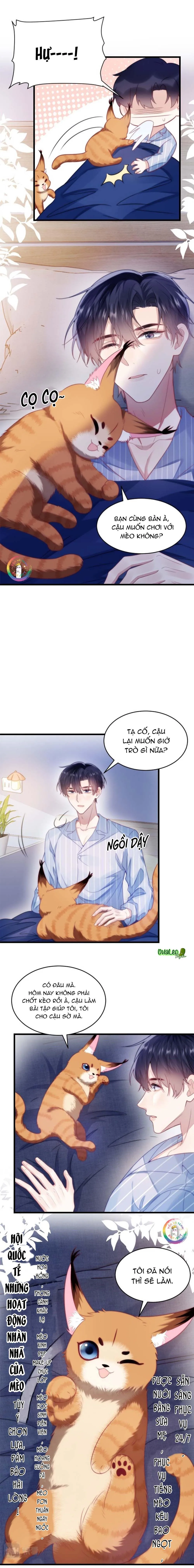 Mèo Hoang Nhỏ Của Học Bá Quá Trêu Người (END) Chapter 16 Trang 5