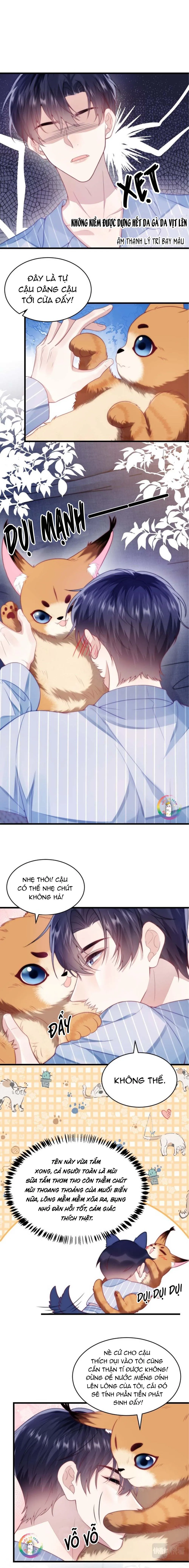 Mèo Hoang Nhỏ Của Học Bá Quá Trêu Người (END) Chapter 16 Trang 6