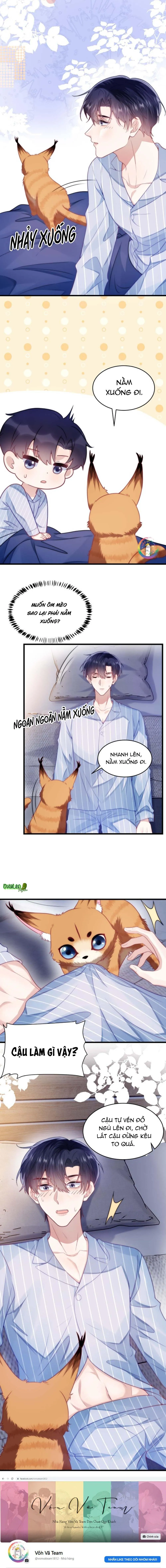 Mèo Hoang Nhỏ Của Học Bá Quá Trêu Người (END) Chapter 16 Trang 8