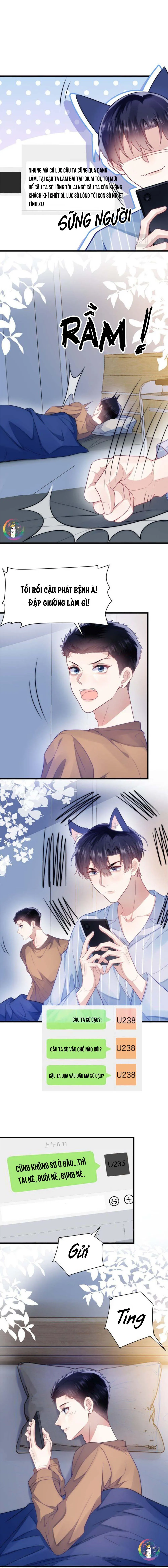 Mèo Hoang Nhỏ Của Học Bá Quá Trêu Người (END) Chapter 17 Trang 7