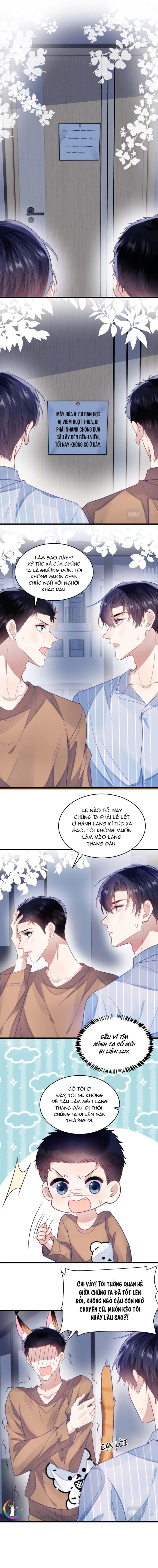 Mèo Hoang Nhỏ Của Học Bá Quá Trêu Người (END) Chapter 18 Trang 5