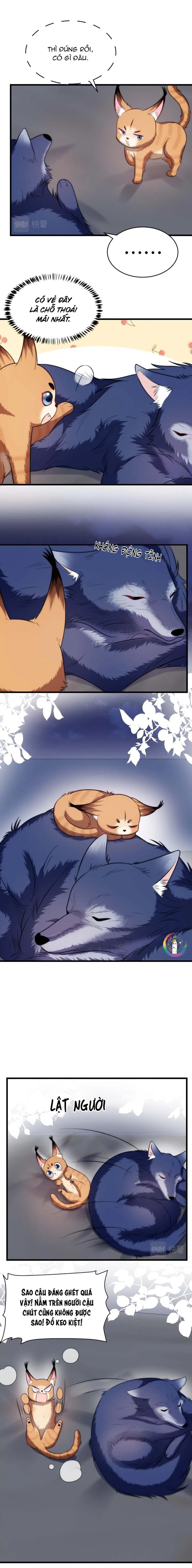 Mèo Hoang Nhỏ Của Học Bá Quá Trêu Người (END) Chapter 19 Trang 3