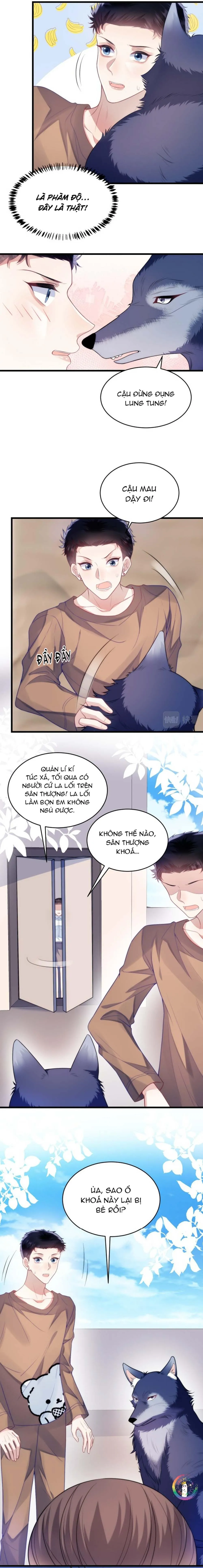 Mèo Hoang Nhỏ Của Học Bá Quá Trêu Người (END) Chapter 19 Trang 5