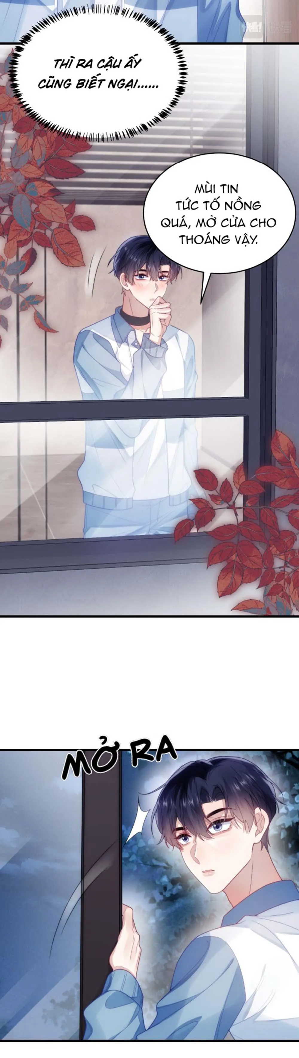 Mèo Hoang Nhỏ Của Học Bá Quá Trêu Người (END) Chapter 27 Trang 4